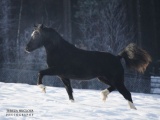 Brackens Roxanne