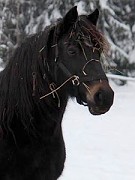 Lasgrug New Image